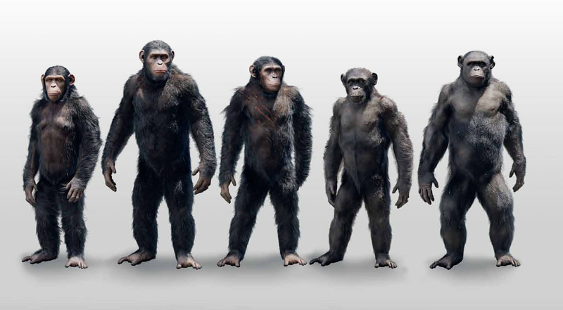 Illustration for article titled Check Out Some Exclusive Dawn Of The Planet Of The Apes Concept Art!